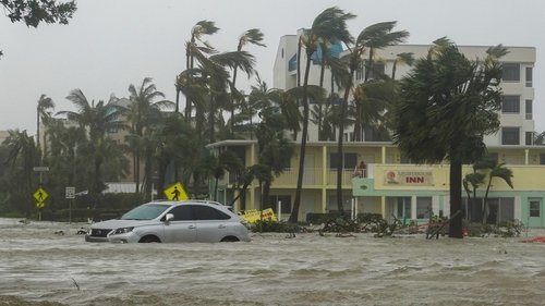 Category 5: Fight to Survive