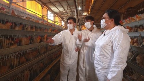 Image de l'épisode 8