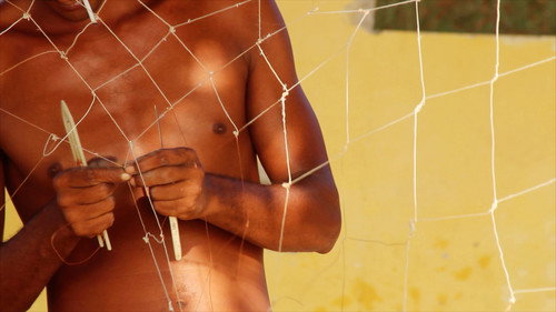 Knots and Holes Backdrop Blur