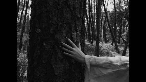 Frankenstein The Creature