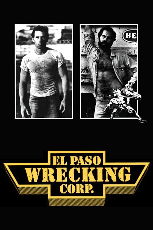 Poster 3