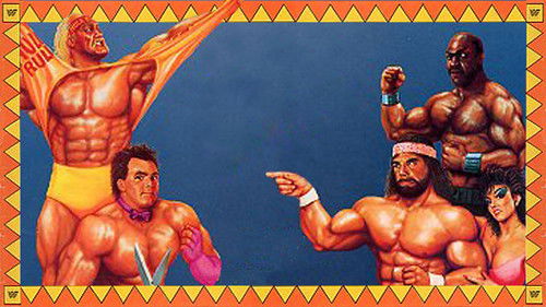 WWE SummerSlam 1989 cover