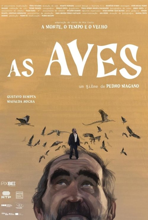 Poster for As Aves (2025)