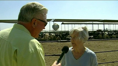 Dairy Farm