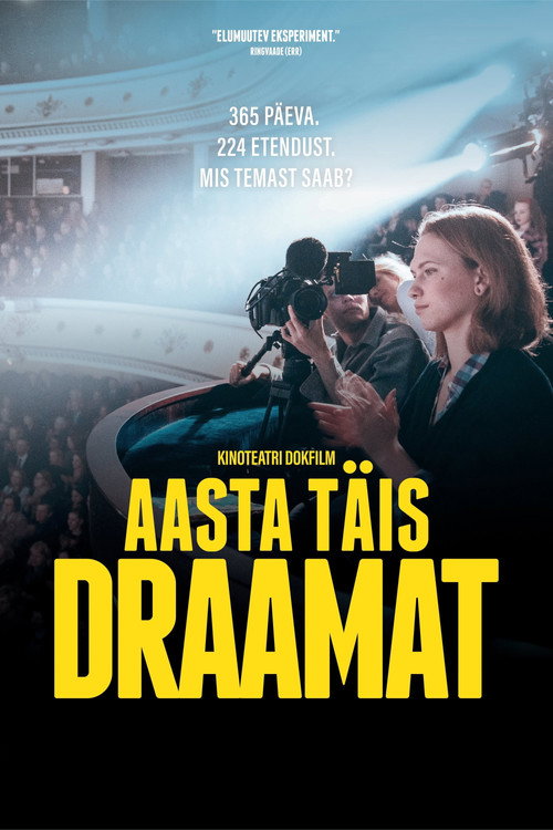 A Year Full of Drama poster