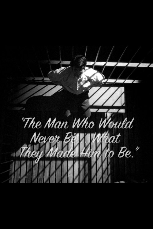 The Man Who Would Never Be, What They Made Him To Be movie poster player