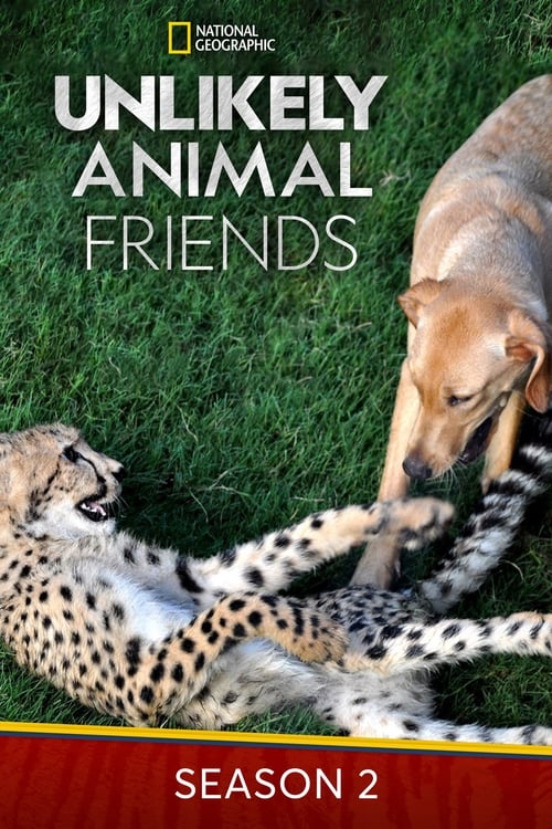 Where to stream Unlikely Animal Friends Season 2