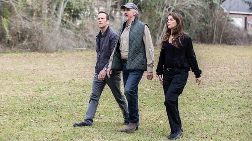 Poster della serie NCIS: New Orleans