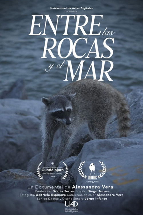 Entre las rocas y el mar