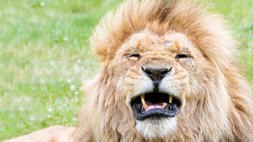 Image de l'épisode 4