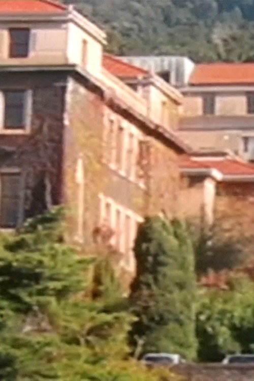 in the realm of a dying star