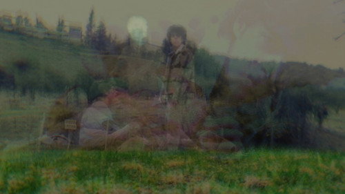 There's a Signal From the Noise, but There's no Noise