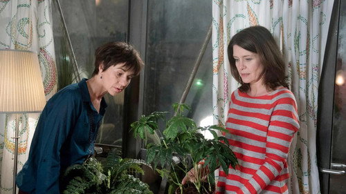 Folge 2448 - Die Cannabis-Pflanze