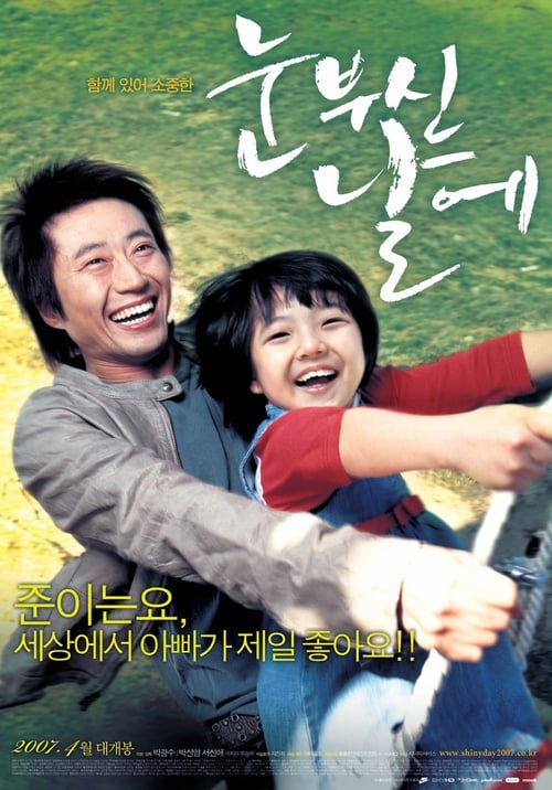 눈부신 날에 (2007)