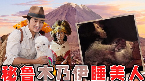 Episode 319