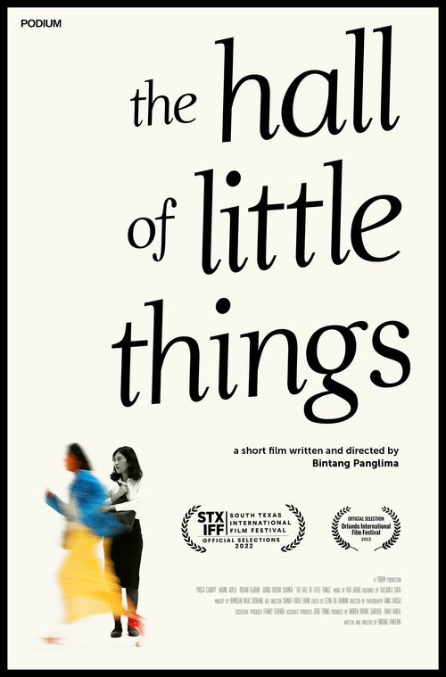 The Hall of Little Things poster