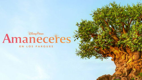 Escena 6 de Disney Parks Sunrise Series