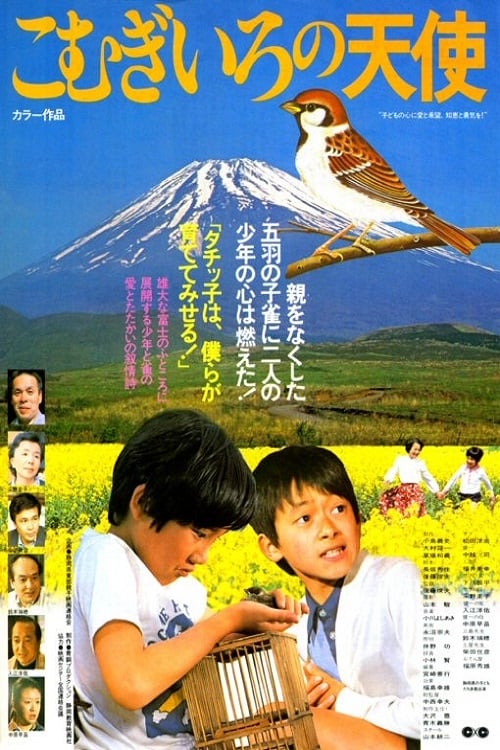 こむぎいろの天使 雀と少年 (1978)
