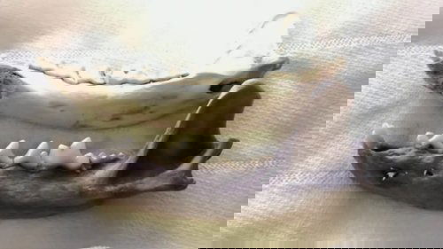 Image de l'épisode 1