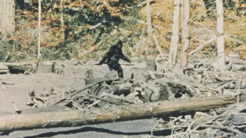Bigfoot: Man or Beast?