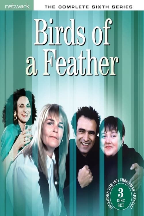 Where to stream Birds of a Feather Season 6