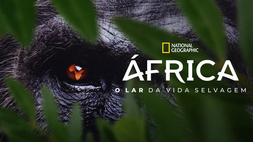 Africa Earth's Wild Home