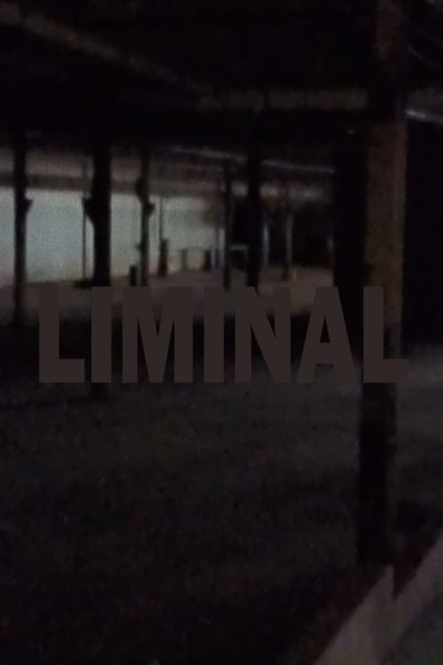 liminal (2023)