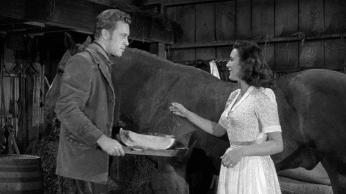 Stranger at My Door — still 22