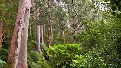 Image de l'épisode 10