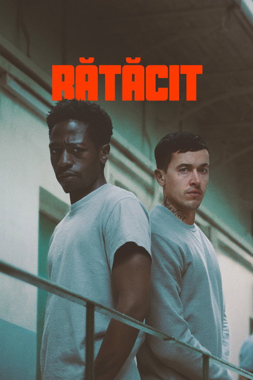 Rătăcit