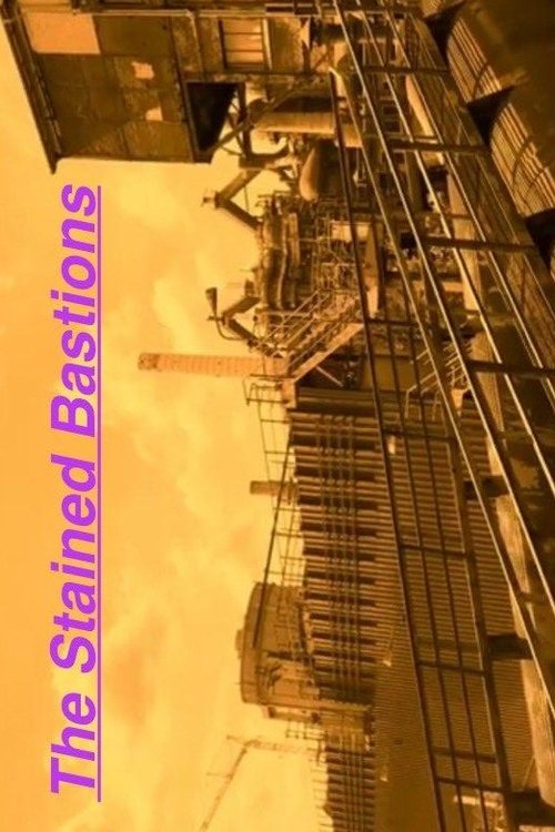 The Stained Bastions