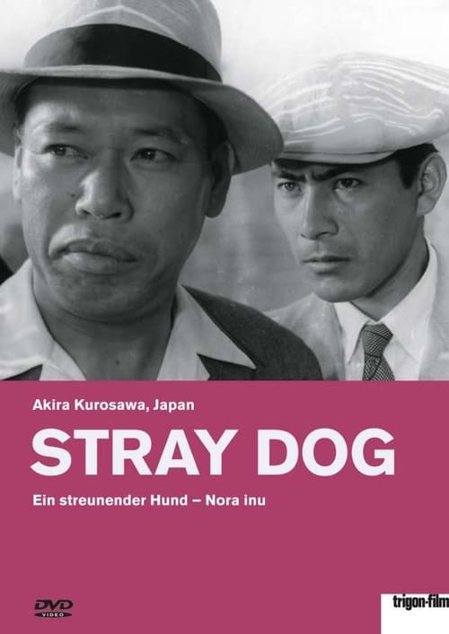 Stray Dog poster