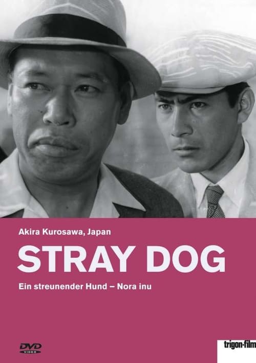 Ein streunender Hund 1949