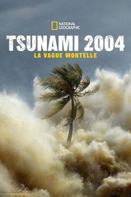 Tsunami 2004: Waves of Death