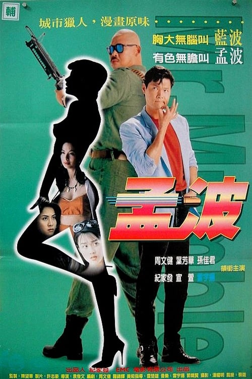 Poster 孟波 1996