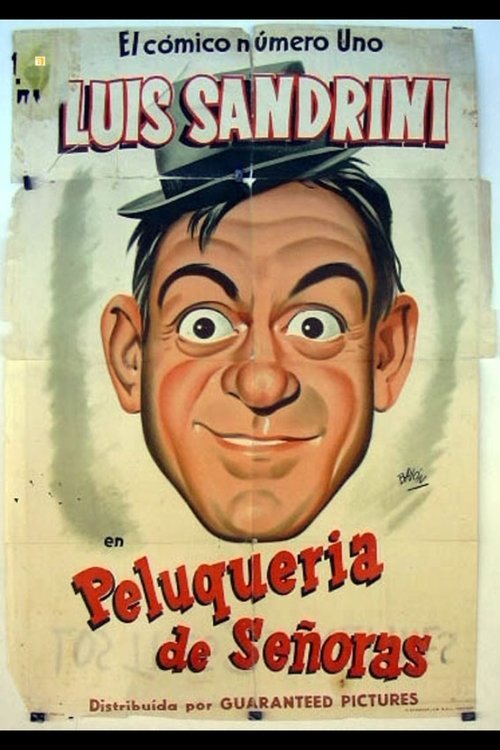 Peluquería de señoras. movie poster player