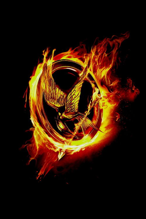 Pòster de Els jocs de la fam - Col·lecció