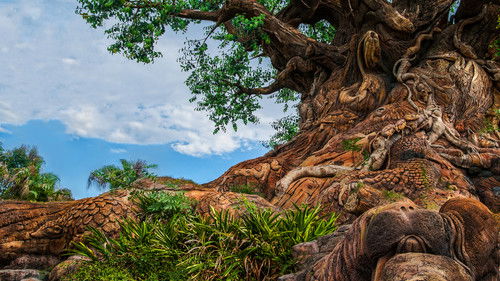 Escena 4 de Disney Parks Sunrise Series