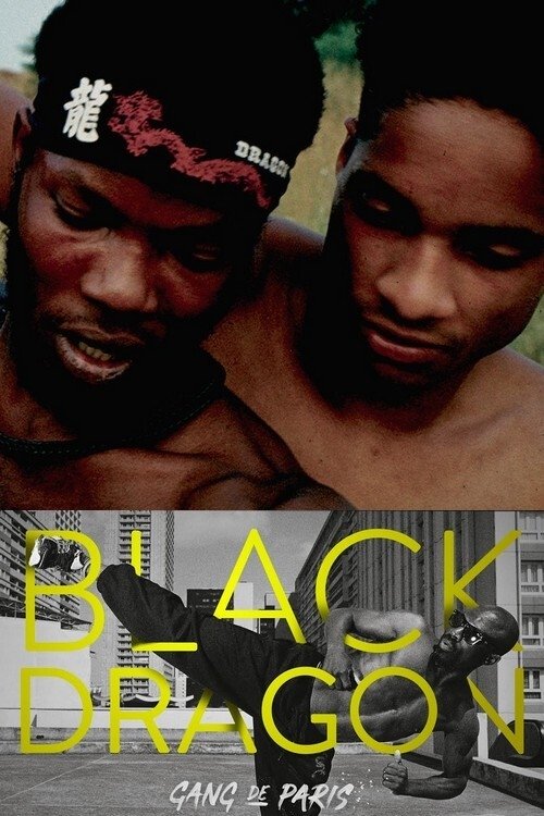 Poster Gang de Paris : Black Dragon