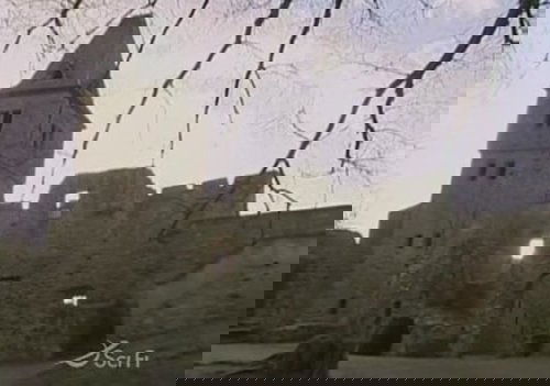 Episode 7