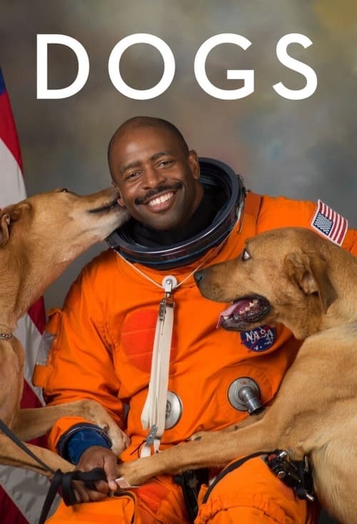 Where to stream Dogs Season 2