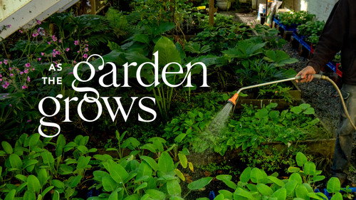 As The Garden Grows