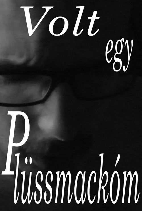 Volt egy plüssmackóm