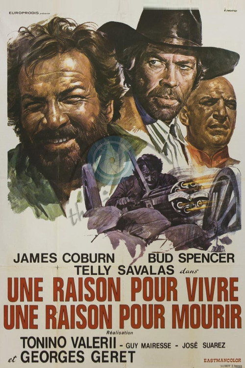 Image du film