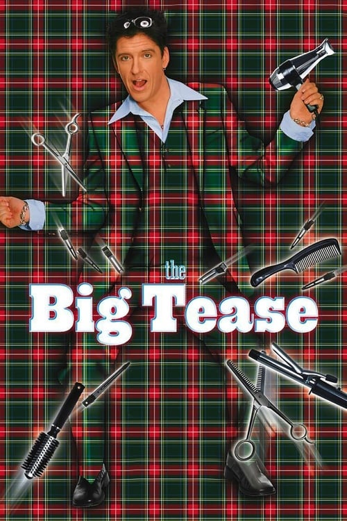 Grootschalige poster van The Big Tease