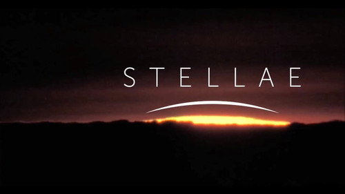 Stellae Backdrop Blur
