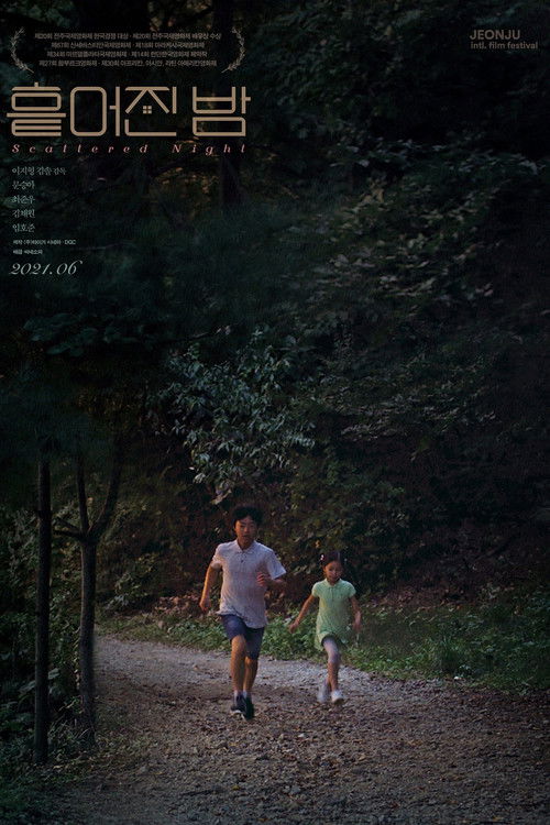 Scattered Night poster