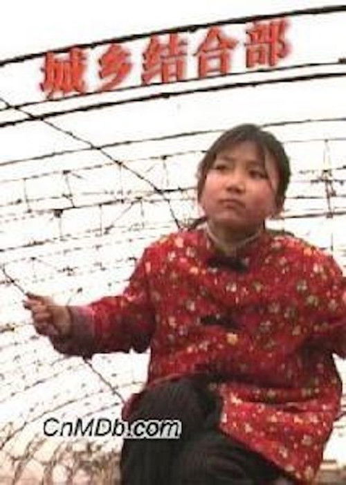 Where City and Country Meet (2001) poster