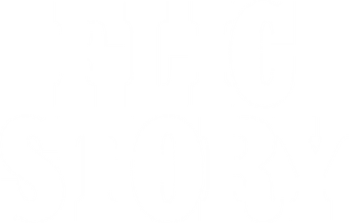 Flic Story