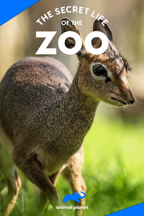 The Secret Life of the Zoo, S07 - (2019)
